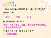 人教版八下生物 7.1.1植物的生殖 课件