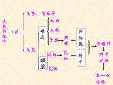 人教版八下生物 7.1.1植物的生殖 课件