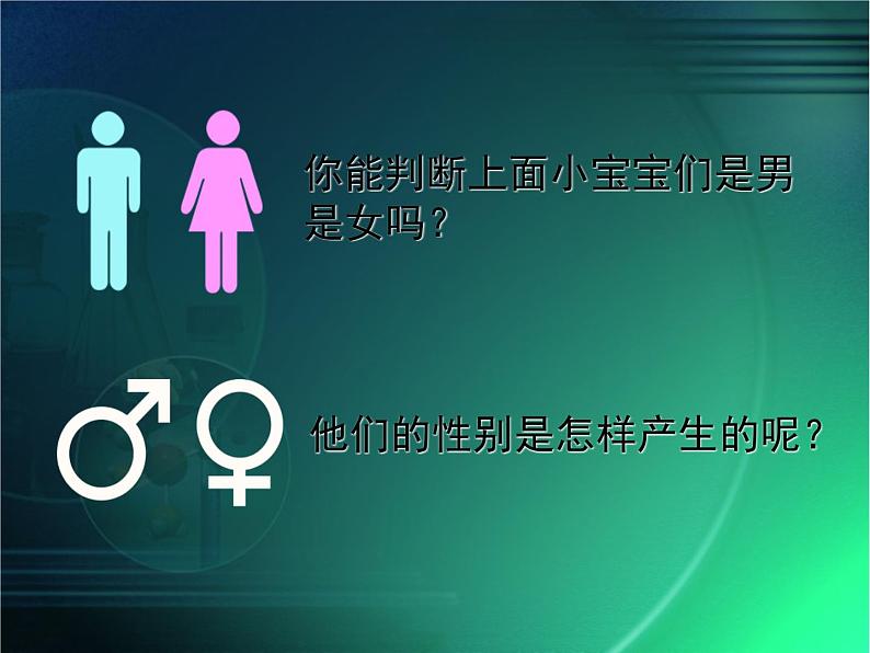 人教版八下生物 7.2.4人的性别遗传 课件02