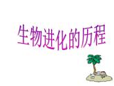 人教版八下生物 7.3.2生物进化的历程 课件