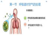 七下第三章第一节《呼吸道对空气的处理》课件PPT