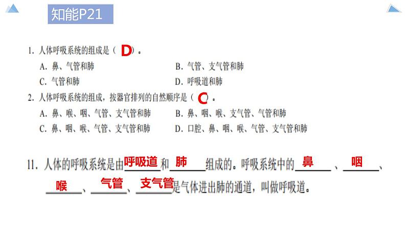 七下第三章第一节《呼吸道对空气的处理》课件PPT05