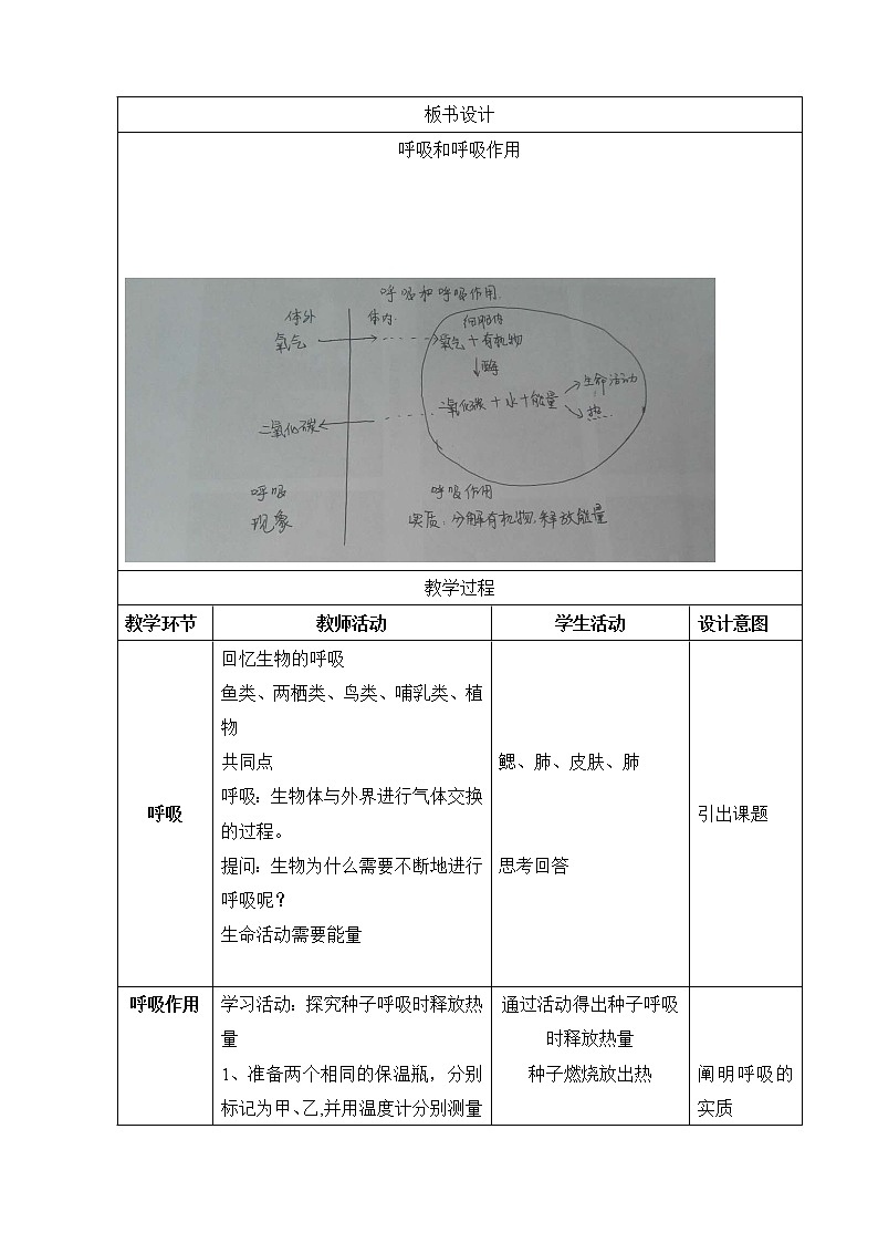 北京版7下生物 6.4呼吸与呼吸作用  教案02