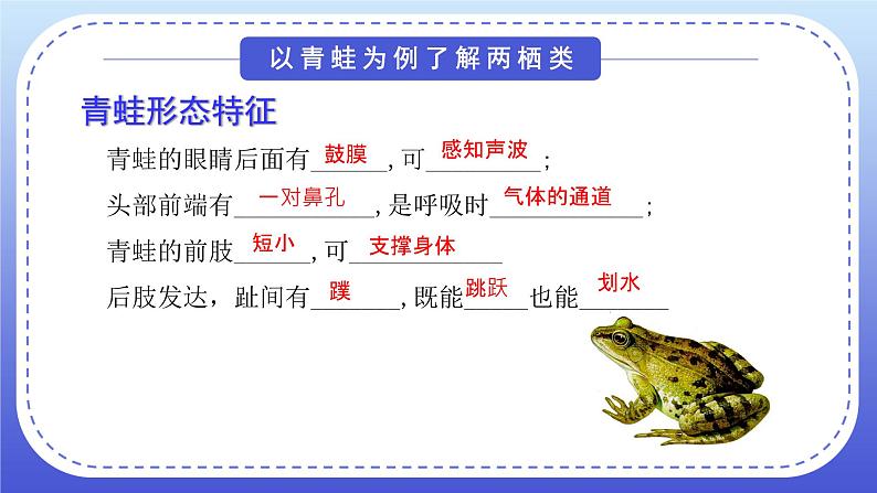 1.5《两栖类和爬行类》教案+课件06