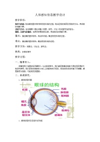 初中生物苏教版七年级下册第三节 人体感知信息教学设计