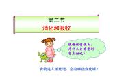 济南版七年级下册生物 1.2消化和吸收 课件