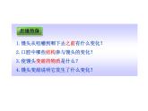 济南版七年级下册生物 1.2消化和吸收 课件