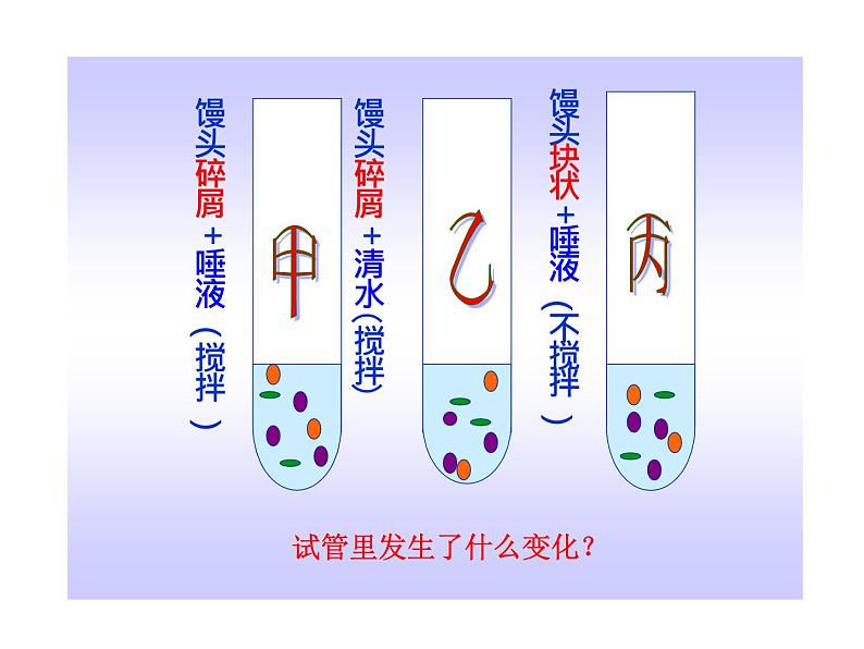 济南版七年级下册生物 1.2消化和吸收 课件第6页