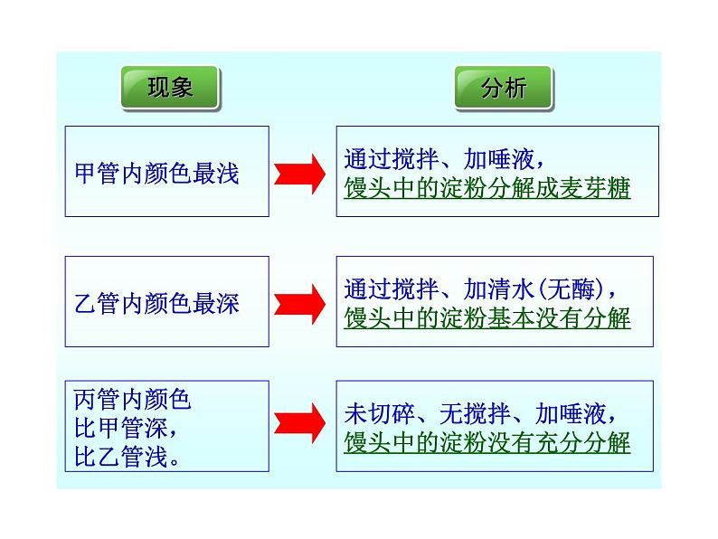 济南版七年级下册生物 1.2消化和吸收 课件第8页