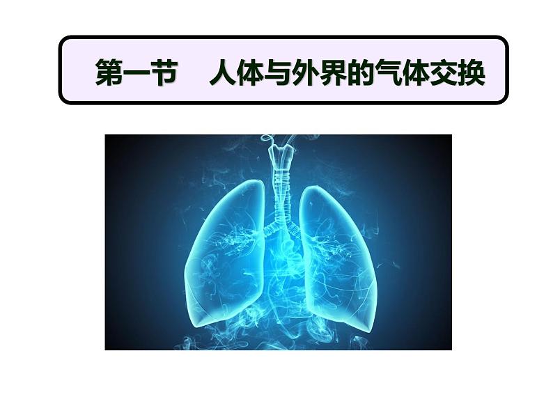 济南版七年级下册生物 2.1人体与外界的气体交换 课件01