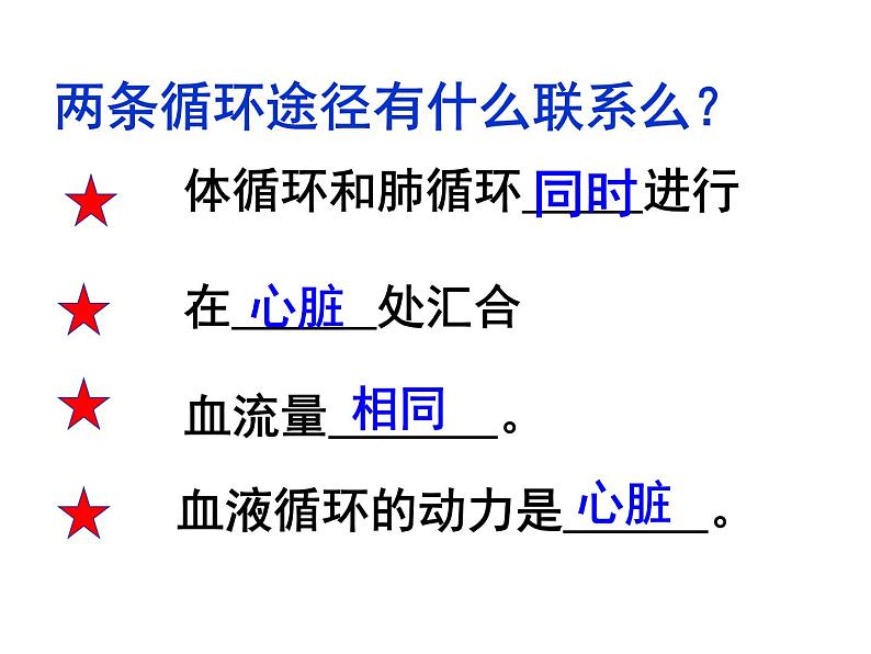 济南版七年级下册生物 3.3物质运输的途径 课件07