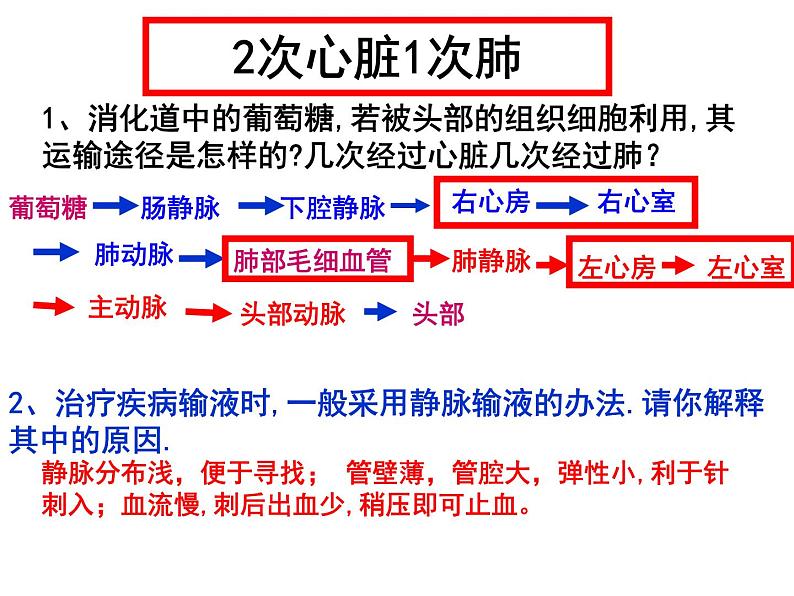 济南版七年级下册生物 3.3物质运输的途径 课件08