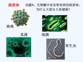 济南版七年级下册生物 6.1人体的免疫功能 课件