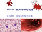 济南版七年级下册生物 3.1物质运输的载体 课件
