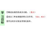 济南版七年级下册生物 3.1物质运输的载体 课件