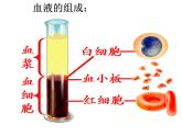 济南版七年级下册生物 3.1物质运输的载体 课件