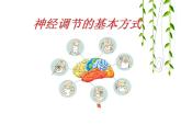 济南版七年级下册生物 5.3神经调节的基本方式 课件