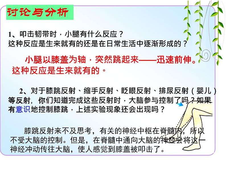 济南版七年级下册生物 5.3神经调节的基本方式 课件第5页