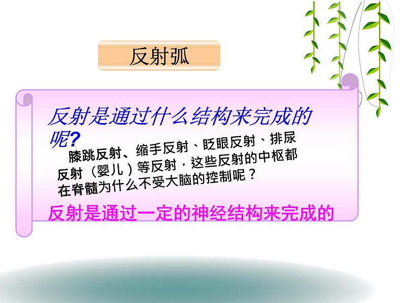 济南版七年级下册生物 5.3神经调节的基本方式 课件第8页