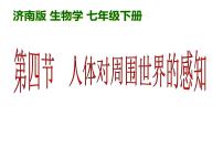 济南版七年级下册第四节 人体对周围世界的感知课前预习ppt课件