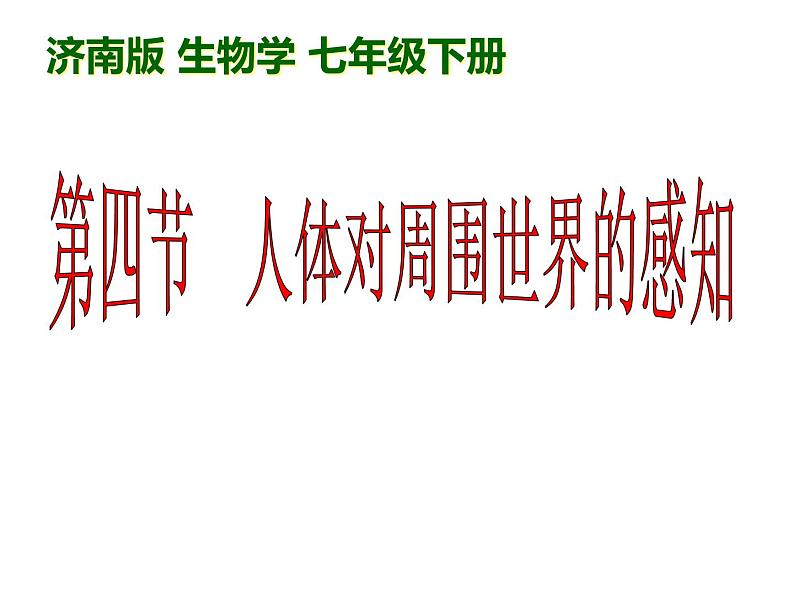 济南版七年级下册生物 5.4人体对周围世界的感知 课件第1页