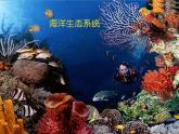 济南社八年级下册生物 6.2.1生态系统的组成 课件