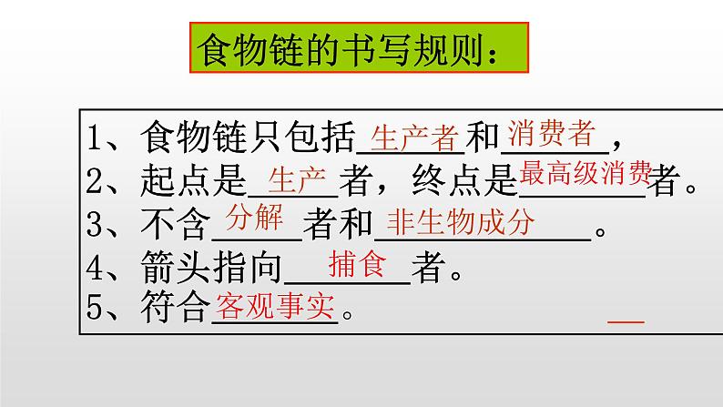 济南社八年级下册生物 6.2.2食物链和食物网 课件07