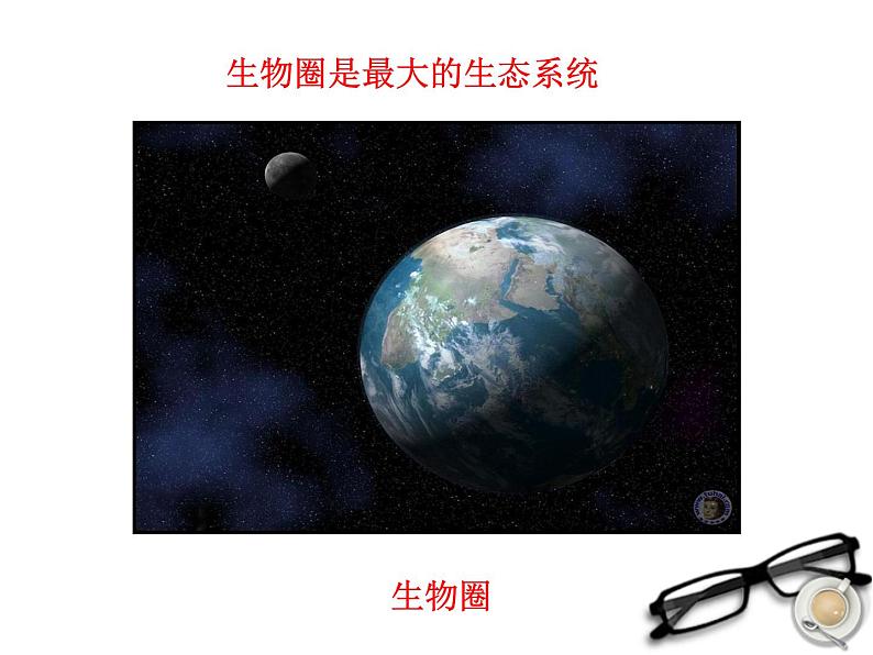 济南社八年级下册生物 6.2.1生态系统的组成 课件06