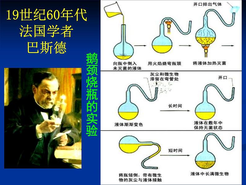 苏科版八年级下册生物 23.1生命的起源 课件第4页