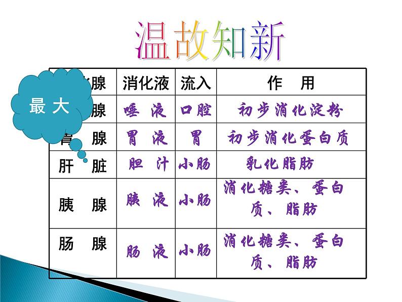 冀教版七年级下册生物 1.3营养物质的吸收和利用 课件第2页