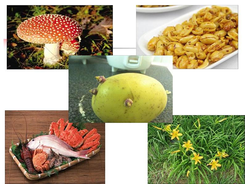 冀教版七年级下册生物 1.4食品安全 课件第6页