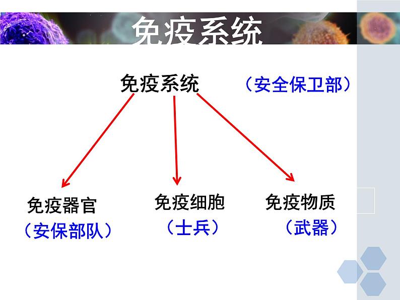 冀教版七年级下册生物 6.1 免疫 课件第3页