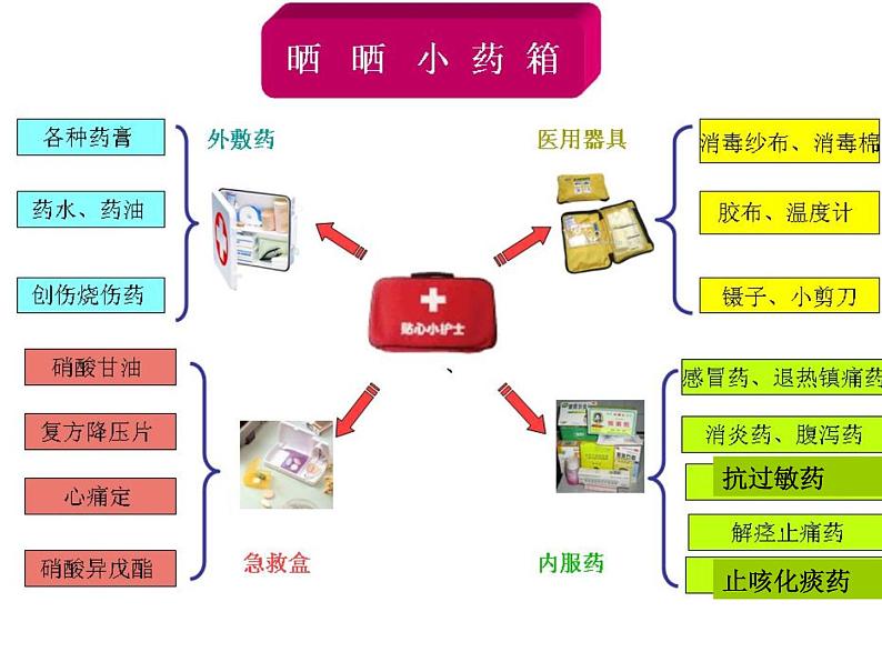 冀教版七年级下册生物 7 科学用药 保障健康 课件04