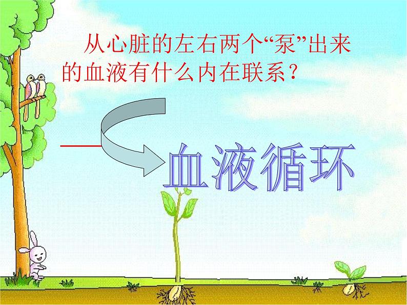 冀教版七年级下册生物 2.3物质运输的路线 课件08