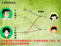 冀教版八年级下册第二节  变异集体备课课件ppt