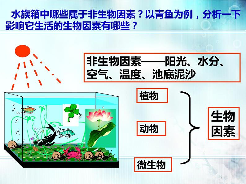 冀教版八年级下册生物  7.2.1生态系统的组成和类型 课件第3页