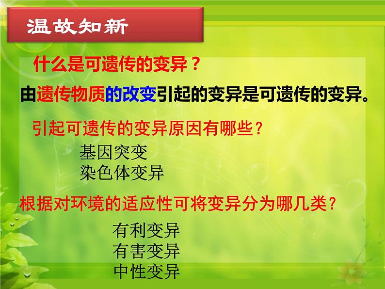 冀教版八年级下册生物  6.2.3遗传病与优生 课件第2页