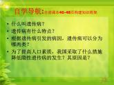 冀教版八年级下册生物  6.2.3遗传病与优生 课件
