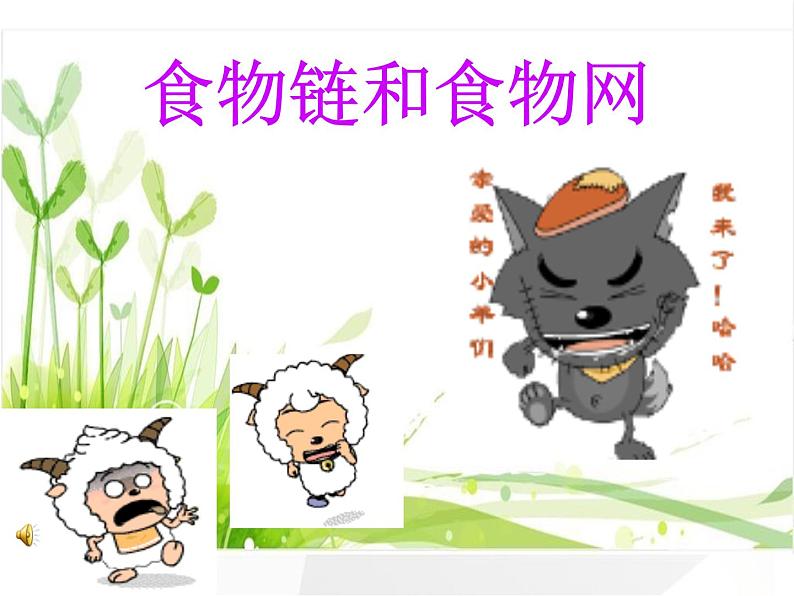 冀教版八年级下册生物  7.2.2食物链和食物网 课件01