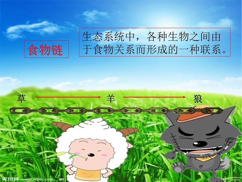 冀教版八年级下册生物  7.2.2食物链和食物网 课件03