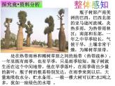 冀教版八年级下册生物  7.1.2生物对环境的适应和影响 课件