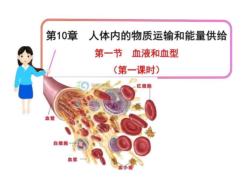 苏教版七年级下册生物 10.1血液和血型 课件01