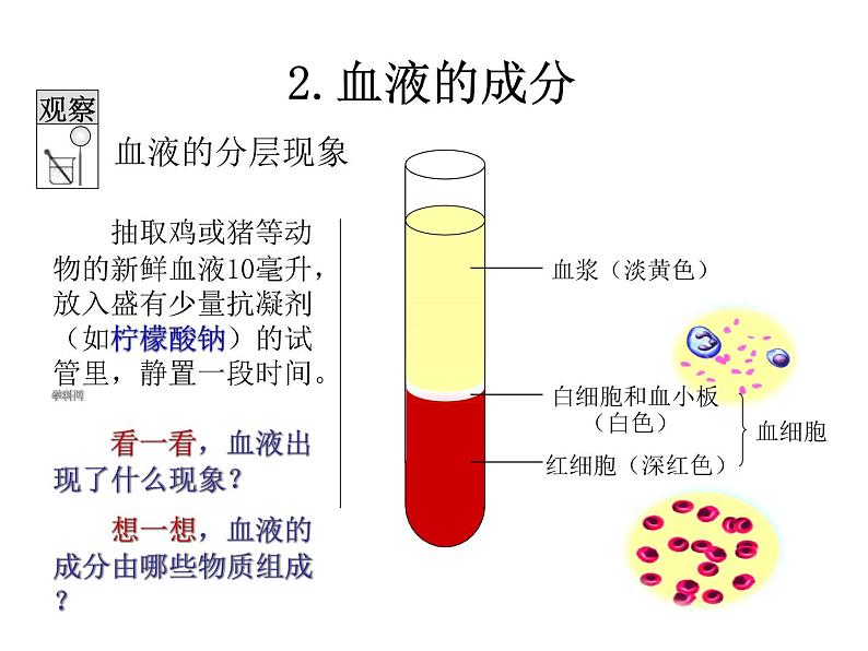 苏教版七年级下册生物 10.1血液和血型 课件06