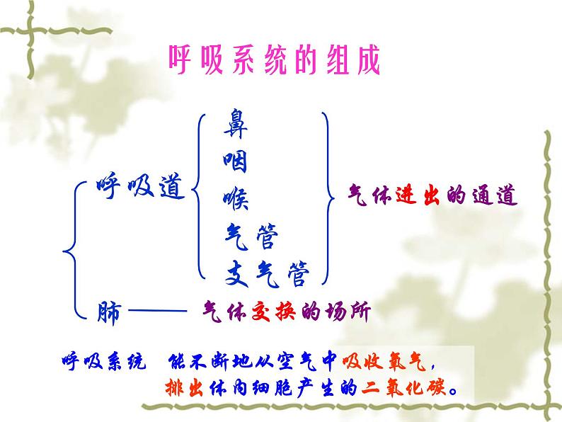 苏教版七年级下册生物 10.3人体和外界环境的气体交换 课件04