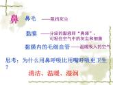 苏教版七年级下册生物 10.3人体和外界环境的气体交换 课件