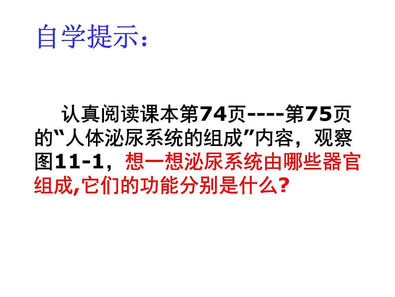 苏教版七年级下册生物 11.1人体泌尿系统的组成 课件03