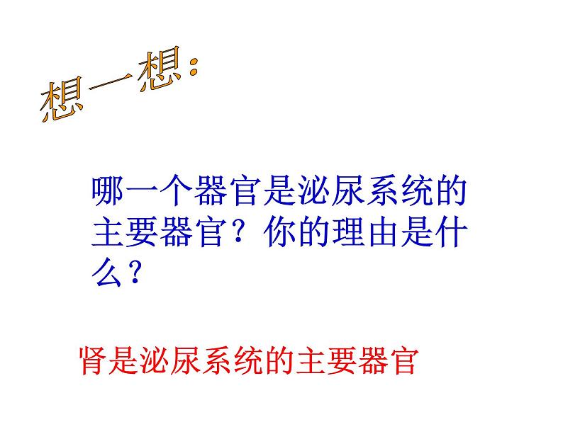 苏教版七年级下册生物 11.1人体泌尿系统的组成 课件06