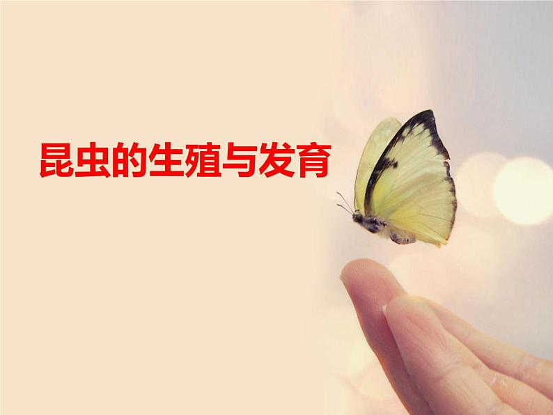 苏教版八年级下册生物 21.3昆虫的生殖与发育 课件01