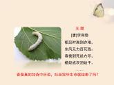 苏教版八年级下册生物 21.3昆虫的生殖与发育 课件