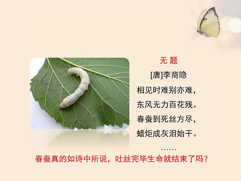 苏教版八年级下册生物 21.3昆虫的生殖与发育 课件02